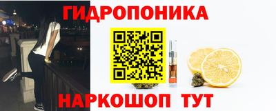 крисы Обнинск